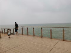 -东疆建设开发纪念公园