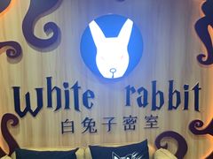-白兔子密室(长寿路店)