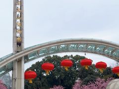-南山植物园