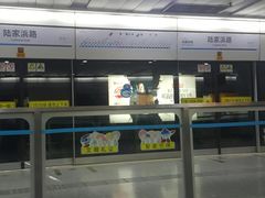-陆家浜路(地铁站)