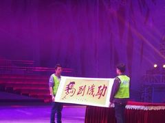 -灵玲国际马戏城