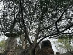 -绮园景区
