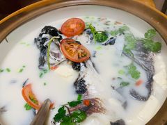 -全乐鱼馆·淳牌有机鱼直营店