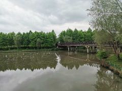 -美兰湖景区