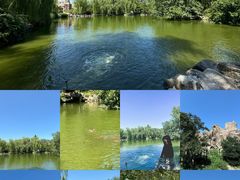 -北京动物园熊猫馆