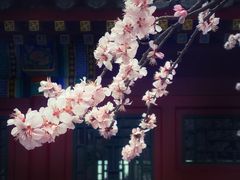 -北海公园