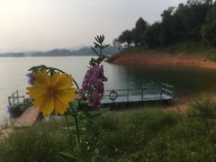 -广州市流溪河国家森林公园