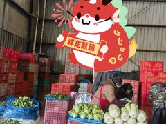 -江杨农产品批发市场