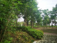 -眉山湿地公园(东坡区)