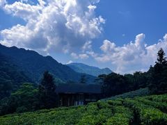 -姑婆山旅游区