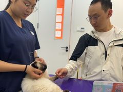 -子乐宠物医院