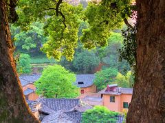 -杨家堂村