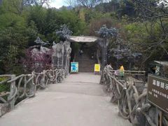 -王顺山国家森林公园
