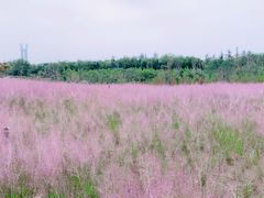 -郑东新区龙湖公共艺术中心