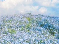-上海辰山植物园