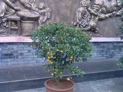 -周老三跷脚牛肉·全牛火锅(非遗传承店)