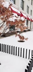 -宝馨月月子中心(友谊医院店)