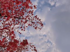 -昆明动物园