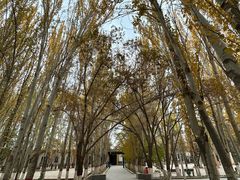 -艾提尕尔清真寺