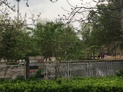 -金星公园