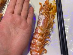 -乔哥铭洋海鲜自助(皇城恒隆广场店)