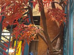 -黄泥岗·地道湖北菜(奥特莱斯店)