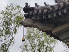 -护国天仙圣母庙