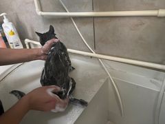 -沐沐家宠物(成寿寺店)