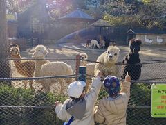 -大连森林动物园