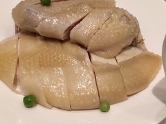 桃园散养三黄鸡-上海会馆(香港名都店)