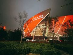 -郑州大剧院