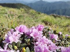 -秦岭风景区