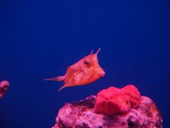 -多彩贵州城极地海洋世界