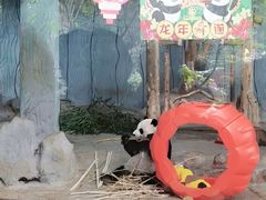-海南热带野生动植物园