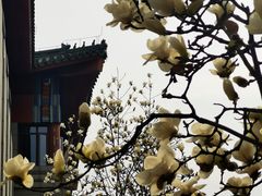 -中国中医科学院西苑医院(本部)