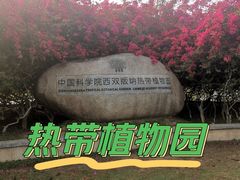 -中国科学院西双版纳热带植物园