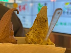 -野人先生现做冰淇淋(北京王府井东方新天地店)