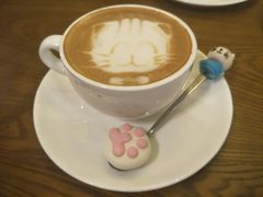 -猫色咖啡·猫咖