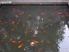 -绳金塔