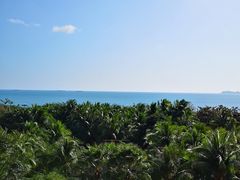 -三亚湾海居铂尔曼度假酒店