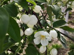 -元大都城垣遗址公园