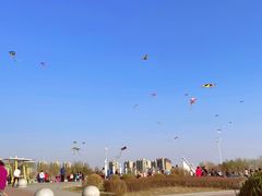 -丁香湖公园