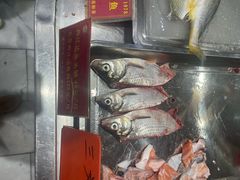 -国家五钻酒家·西樵旺阁渔村(西樵店)