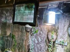 -上海大自然野生昆虫馆(东方明珠·爬宠昆虫探索中心)