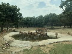 -西安秦岭野生动物园