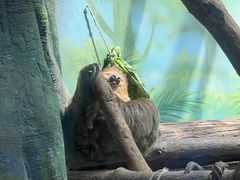 -杭州野生动物世界