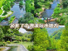 -云溪植物园