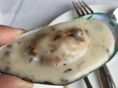 -哈布斯扒房(华发商都店)