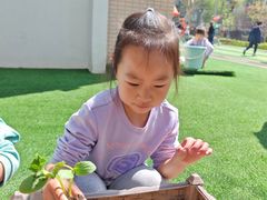 -满天星幼儿园(北京太阳宫园)