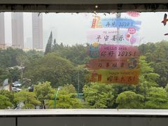 -百年果林椰子鸡(中洲店)